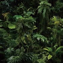 Papel Tapiz Autoadhesivo Tropical Verde Oscuro FunStick de Vinilo 44.5 cm x 3 m