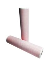 Papel Térmico Para Eletrocardiógrafo Bionet 216Mm X 30M 5Un