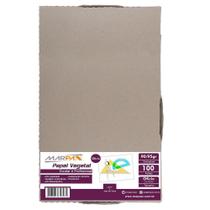 Papel Vegetal Ofício 216X355Mm 90/95 G/M² Translúcido 100Fls