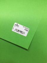Papel vivaldi 180g Canson verde claro 50X65cm Papel vivaldi 180g Canson verde claro 50X65cm