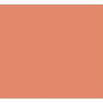 Papel Vivaldi 180G Coral 50X65cm