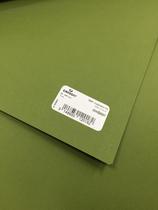 Papel vivaldi 185g Canson verde safari 50X65cm