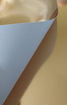 Papel vivaldi 280g Canson dourado 50X65cm