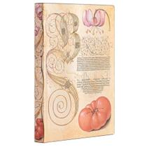 Paperblanks Lily & Tomato Mini Capa Flexível Pautado