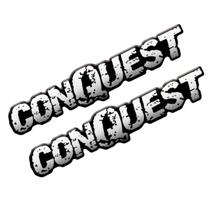 Par Adesivo Emblema Montana Conquest Resinado