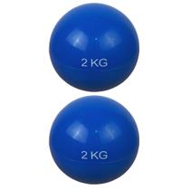 Par de Bola De Peso Tonificadora Sandball Funcional Toning 2Kg - 1 Fit