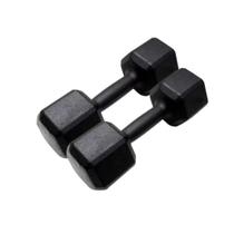 Par De Halter Sextavado Pintado 10Kg Academia Treino Fitness