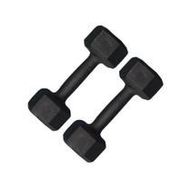Par De Halter Sextavado Pintado 3Kg Academia Treino Fitness