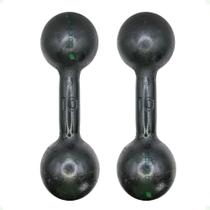 Par de Halteres de Ferro Fundido Pintado - 10 Kg