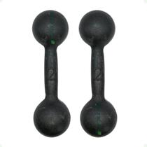 Par de Halteres de Ferro Fundido Pintado - 2 Kg