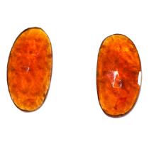 Par de Hessonita Natural Facetado Rose Cut Formato Fancy Par Dimensões (LxC) 20x10 mm Par de Hessonita Natural Facetado Rose Cut Formato Fancy Par Dimensões (LxC) 20x10 mm