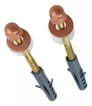 Par de Parafusos Latonado B10 Kit com 2 unidades