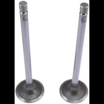 Par de Válvula admissão Agrale 14000 2015 a 2024 Metal Leve