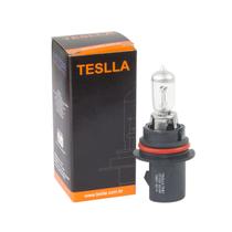 Par Lampada Hb1 12v 65/45w