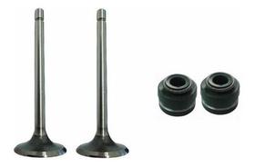 Par Válvula Adm. Esc. Cg 125 83-91 + Retentores Válvula Nqk Par Válvula Adm. Esc. Cg 125 83-91 + Retentores Válvula Nqk