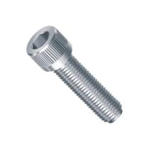 Parafuso Alen 100 peças WM