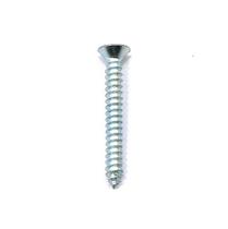 Parafuso (alvenaria c- bucha) (cab. ch-ph) 4.8 x 45 ri Parafuso (alvenaria c- bucha) (cab. ch-ph) 4.8 x 45 ri