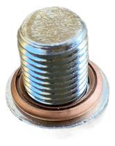 Parafuso Bujão Carter Cht Ford Gol 14mm C/ Anel