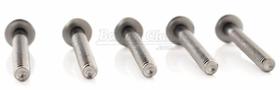 Parafuso D-One DLS3 Kit com 5 Un. p/ Tons, Surdo ou Caixa 55mm Comprimento semelhante Pearl T-061L/6
