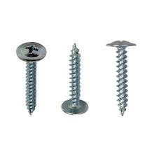 Parafuso de Forro Ponta Agulha Phillips 4.2 x 25 mm 1000 Peças