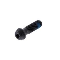 Parafuso de Mandril DEWALT N092854 - Rosca 1/4-28 L.H.
