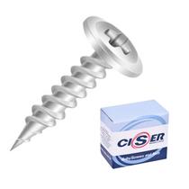 Parafuso Flangeado Philips 4,2x13mm P/ Forro Pvc Unidade