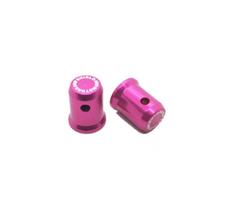 Parafuso Iluminação De Placa Led - Rosa
