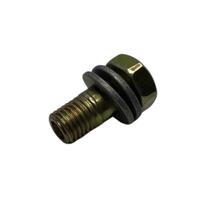 Parafuso Oco Simples 08x15x1,0MM 2 furos