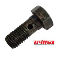 Parafuso Oleo Flexivel Freio Twister Cb 300 Xre 300 Bros 160 Parafuso Oleo Flexivel Freio Twister Cb 300 Xre 300 Bros 160
