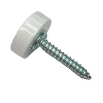 Parafuso para fixacao de espelho mgv