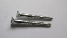 Parafuso para Madeira Cabeça Chata Pt100Pcs 42x40