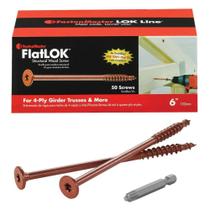 Parafuso para madeira FASTENMASTER 6L