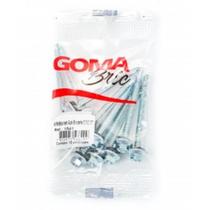 Parafuso Sextavado Auto Brocante Goma 12x4 com 10 Peças