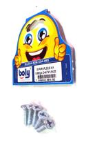 Parafusos A.A Cabeça Chata 5,5x25mm Kit 5 Pçs - Boly - Ref. 102