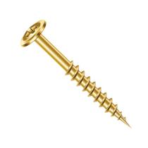 Parafusos Chip Cabeça Flangeada 4,5 X 45mm Phillips