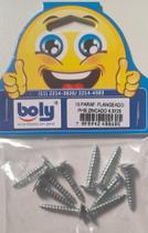 Parafusos Flangeados PHS Zincados 4x25 Boly Kit 10 Peças