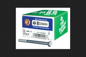 Parafusos Hillman M6-100x70 com tampa hexagonal grau 8.8 zincados