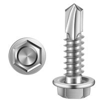 Parafusos MewuDecor Hex Washer Hex Self Drill 10 x 1 100