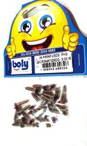 Parafusos Phillips Bicromatizados 3x16mm Kit 24 Pçs - Boly - Ref. 326