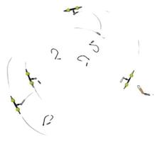 Pargueira pronta com 04 anzois circulares 4/0 Pargueira pronta com 04 anzois circulares 4/0