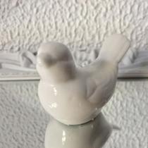 Passarinho em louca Passarinho em louca