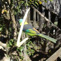 Pássaro de Madeira Saíra Sete Cores Pássaro de Madeira Saíra Sete Cores