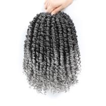 Passion Twist Hair Karida 25 cm, 8 pacotes, cinza para mulheres negras