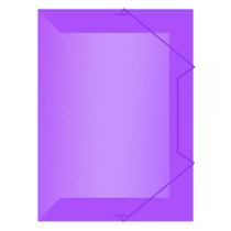 PASTA A/E PP ACP OFICIO FINA LILAS c/10