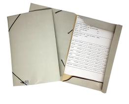 Pasta Aba Elastica Oficio Cinza-Neutro Pct C/30 24H