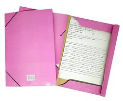 Pasta Aba Elastica Oficio Rosa-Pastel Pct C/30 24H Pasta Aba Elastica Oficio Rosa-Pastel Pct C/30 24H