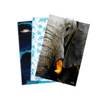 * pasta aba elastico oficio lelephant bleu sortidodello industria e comercio0216.slb.0030 * pasta aba elastico oficio lelephant bleu sortidodello industria e comercio0216.slb.0030