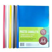 Pasta Canaleta A4 220x307mm Sortidos Plastpark 05un