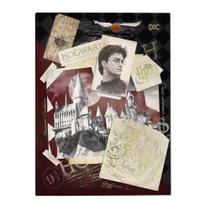 Pasta Catálogo Dac ofício Harry Potter com 10 plásticos
