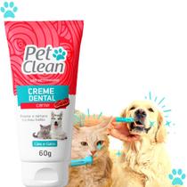 Pasta De Dente Cães Gato Gel Dental Pet Clean Carne 60g